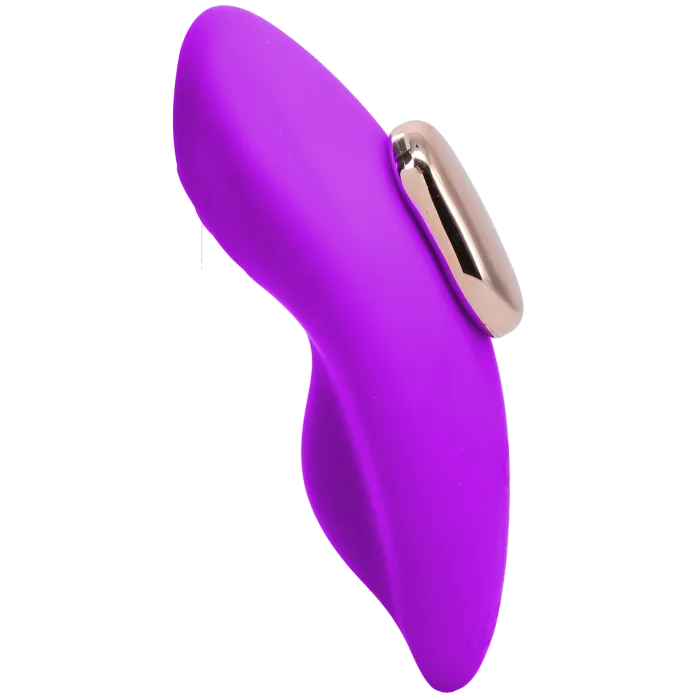 In A Bag Magnetic Panty Vibe vibrator paars met afstandsbediening