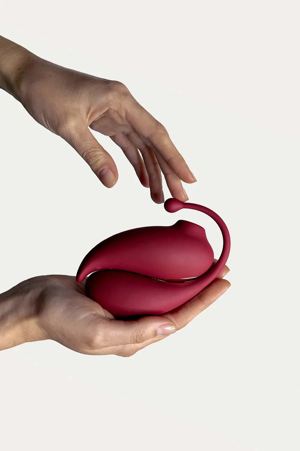 Adrien Lastic Inspiration luchtdrukvibrator met ei set