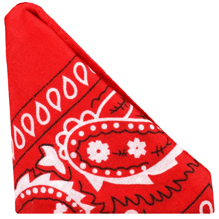 ROCK SOLID The Code cockring zwart met bandana