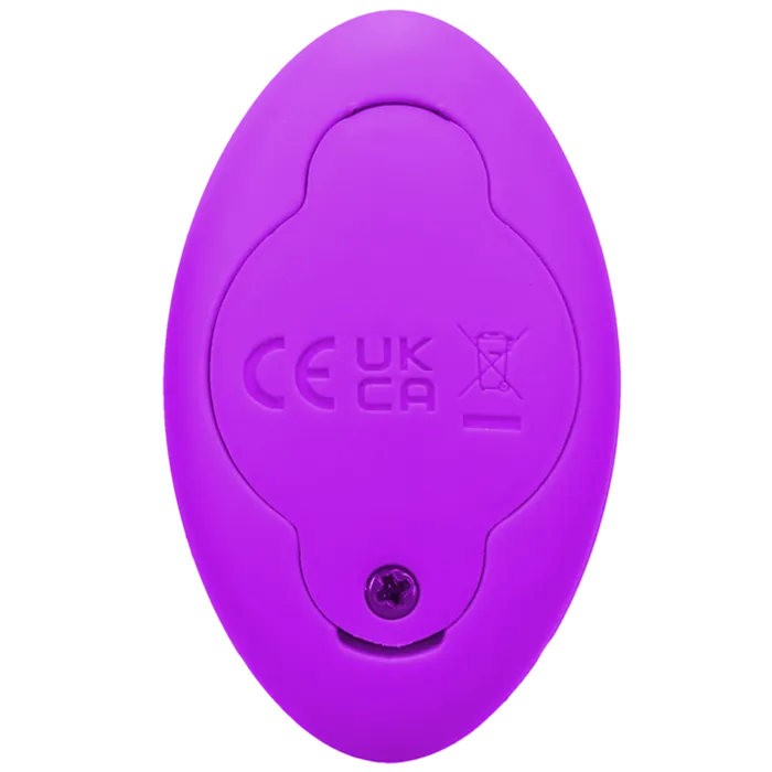 In A Bag Magnetic Panty Vibe vibrator paars met afstandsbediening