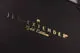 Jes-Extender Gold penisextender goud complete set