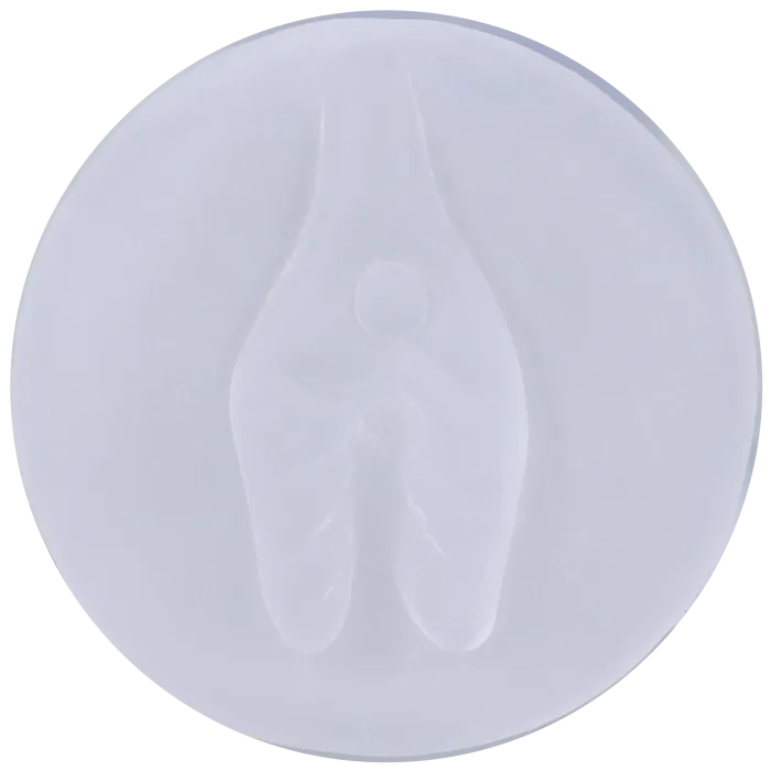 The Classics Rock Solid Penis Pumping Kit penispomp met 4 sleeves